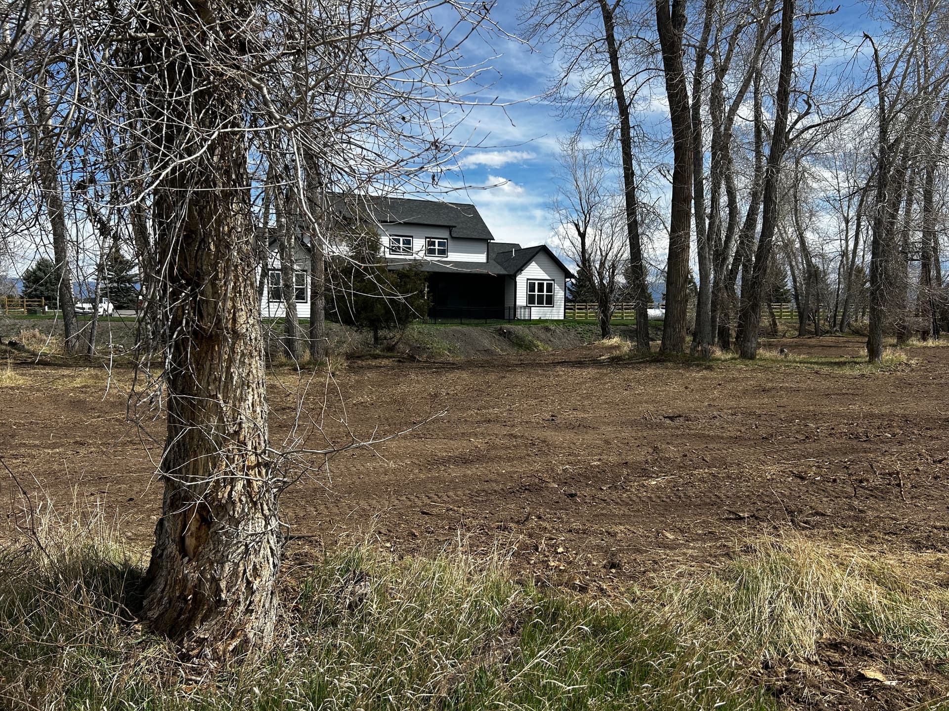 Gallery photos for Brush Clearing, Tree Removal, and Grading on an Overgrown Rural Property: Image #2