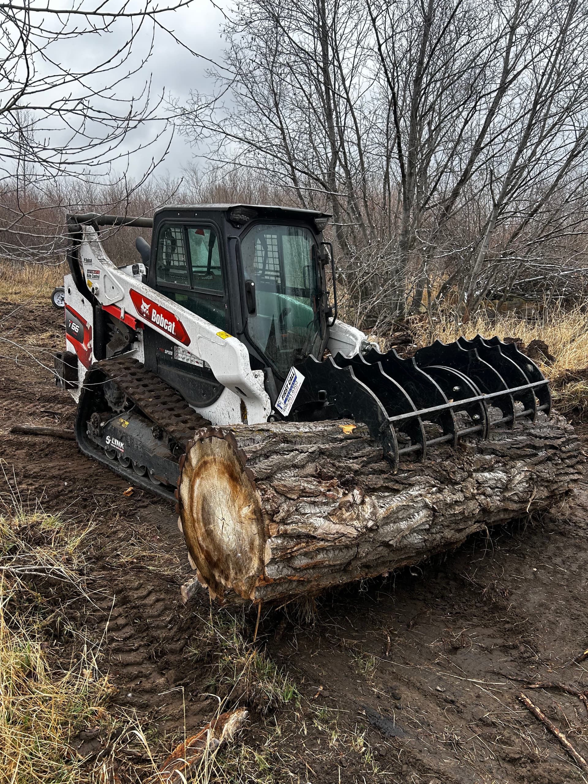Gallery photos for Brush Clearing, Tree Removal, and Grading on an Overgrown Rural Property: Image #4
