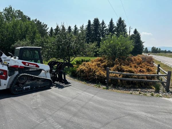 Bobcat skid steer loader next to lush green trees and overgrown shrubs by a gravel road.