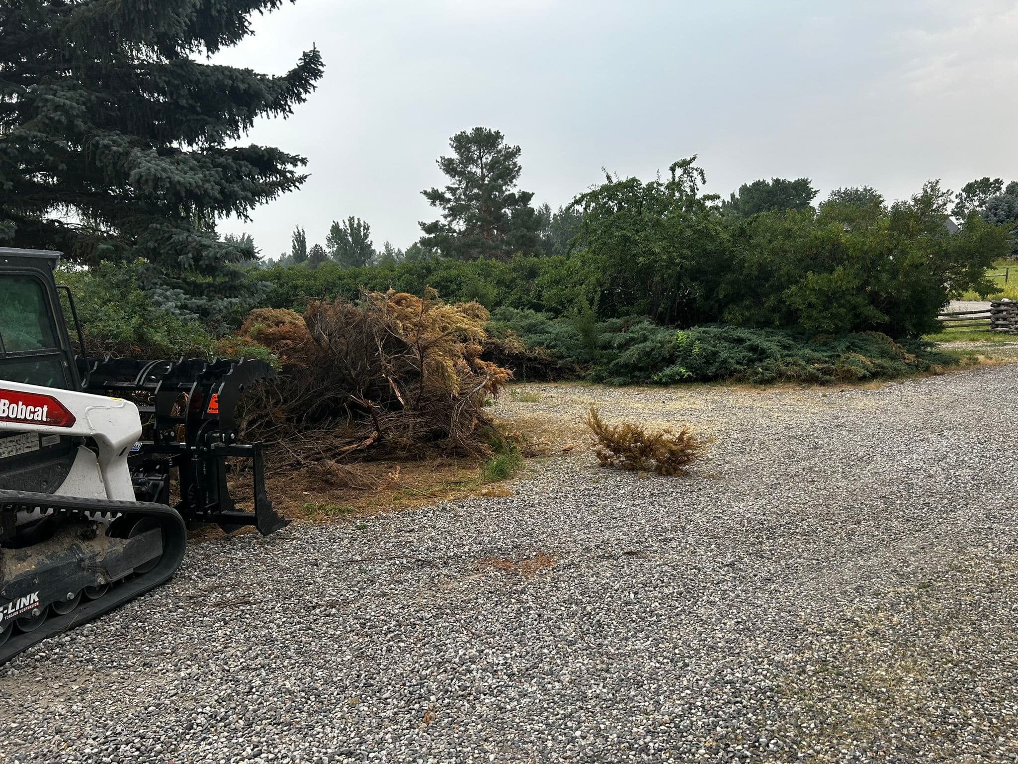 Bobcat loader next to piles of trimmed bushes on a gravel driveway.