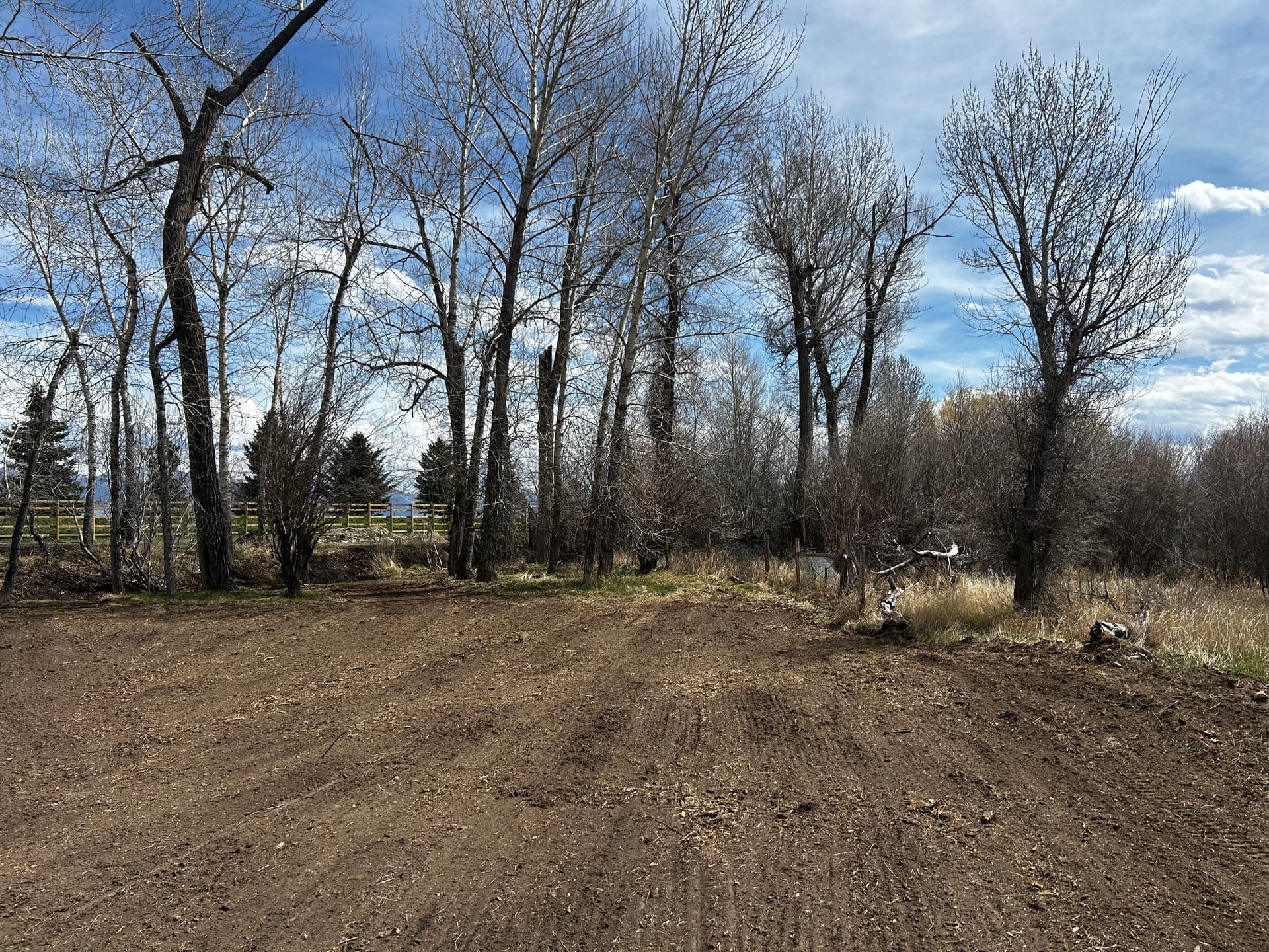 Gallery photos for Brush Clearing, Tree Removal, and Grading on an Overgrown Rural Property: Image #3