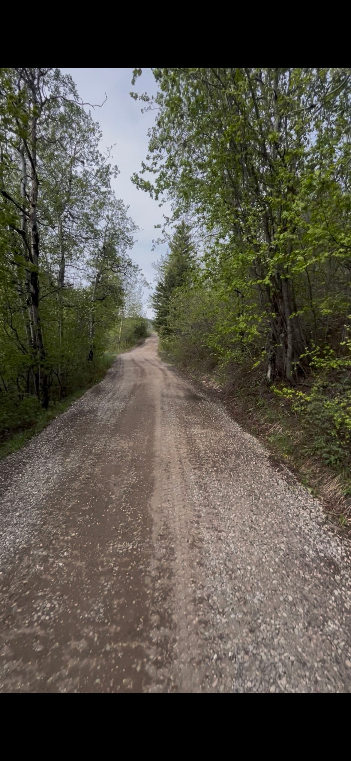 Gallery photos for Gravel Driveway Repair With Drainage Grading and Fresh Road Mix: Image #1
