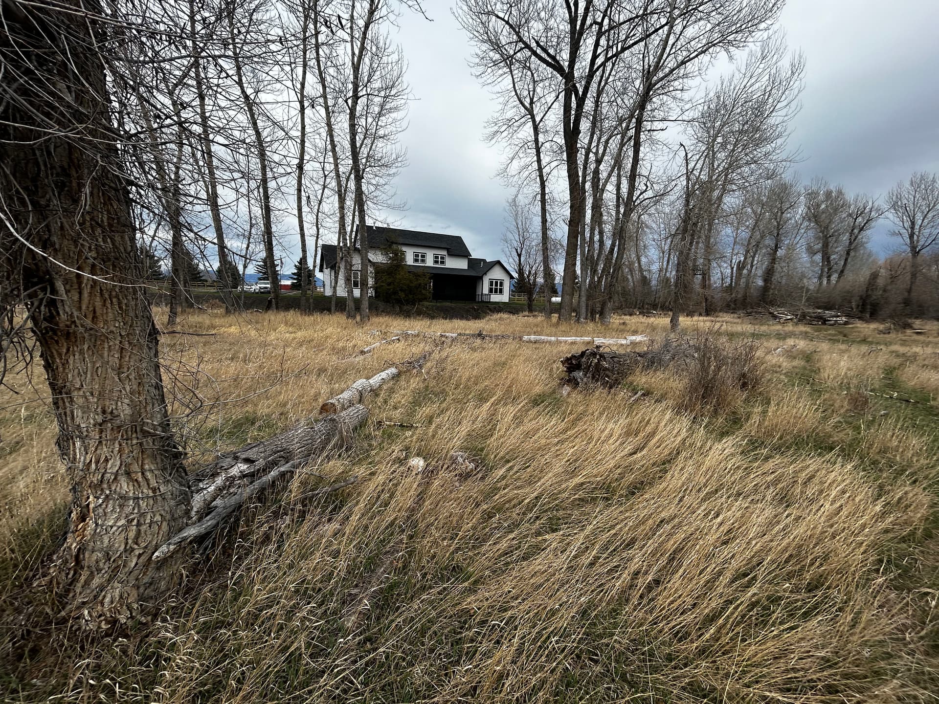 Gallery photos for Brush Clearing, Tree Removal, and Grading on an Overgrown Rural Property: Image #6
